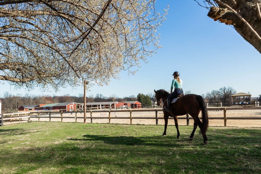 Rider on horseback at Serene Acres Riding Center with Virginia countryside in bloom