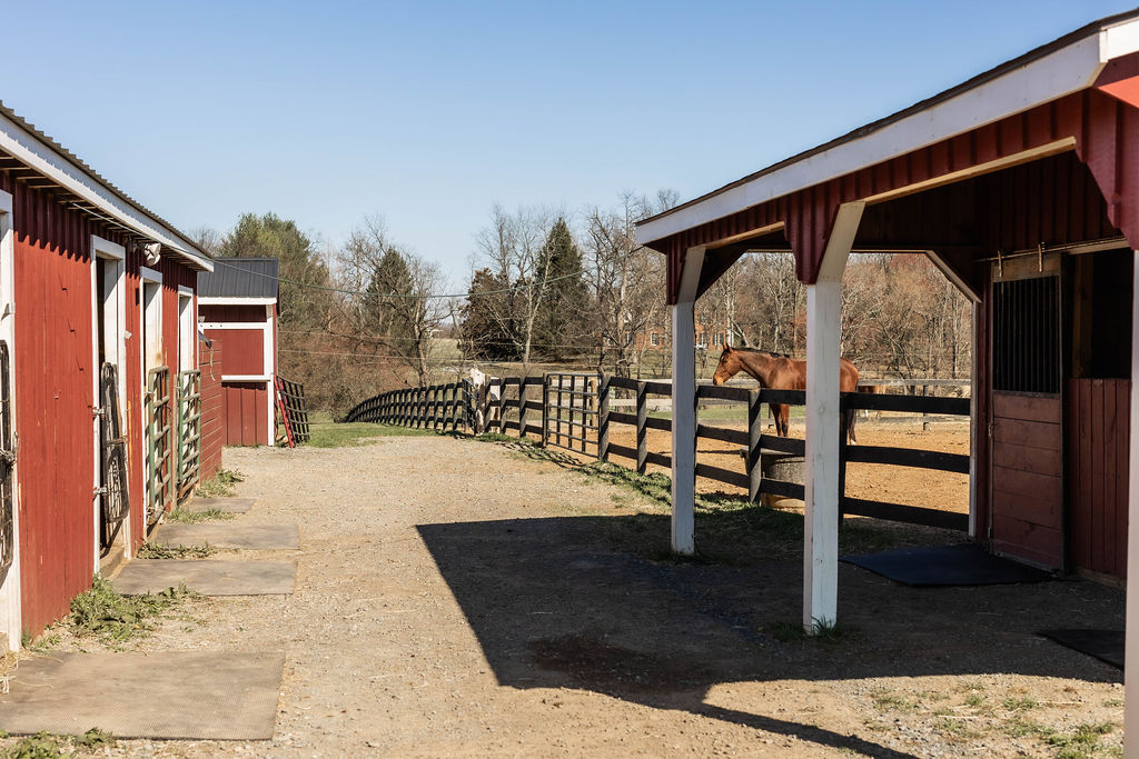 Serene Acres barn aisle with horses