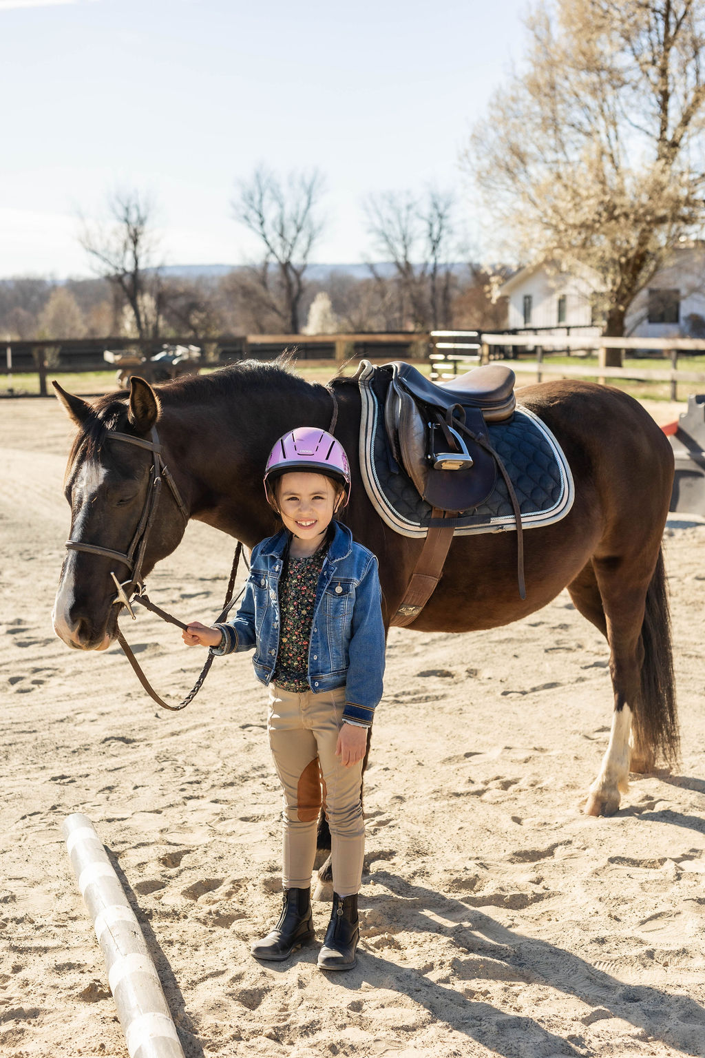 Arena view at Serene Acres with jump standards visible